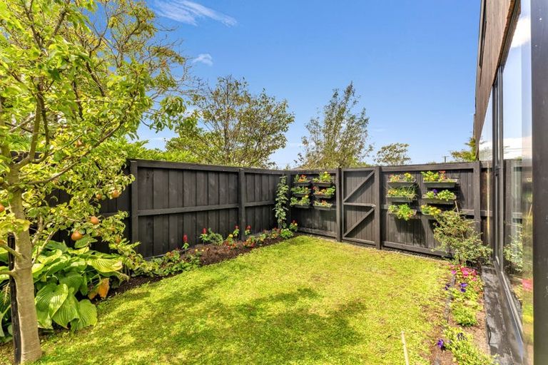 Photo of property in 53a Edward Avenue, Edgeware, Christchurch, 8013