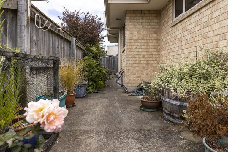 Photo of property in 113 Scott Street, Blenheim, 7201
