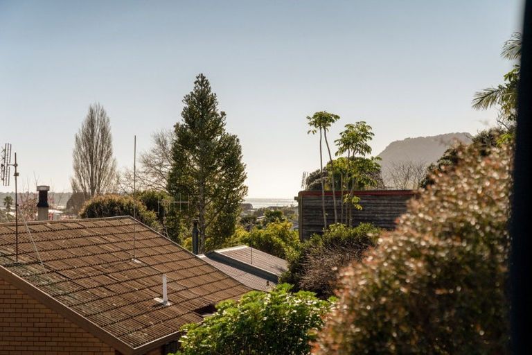 Photo of property in 77a Grange Road, Otumoetai, Tauranga, 3110