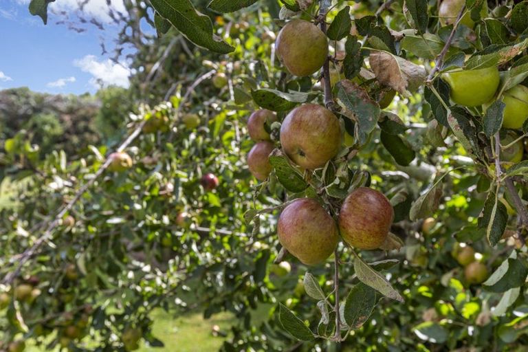 Photo of property in 67 Brown Road, Brixton, Waitara, 4382