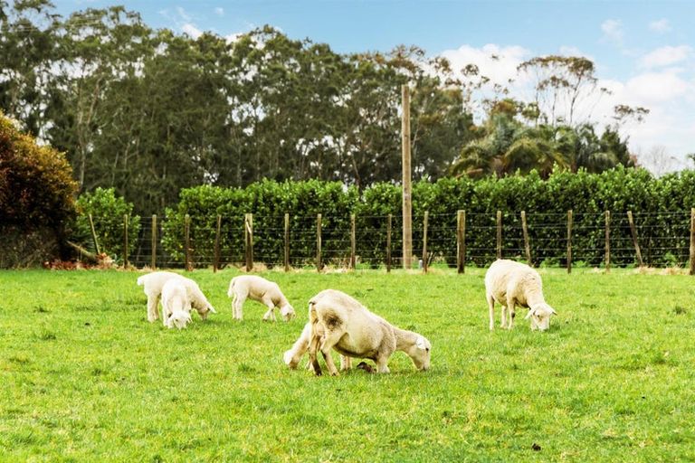 Photo of property in 68 Pomona Road, Kumeu, 0891