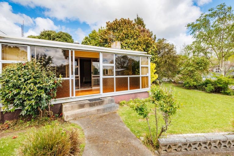 Photo of property in 53 Ruamahanga Crescent, Terrace End, Palmerston North, 4410