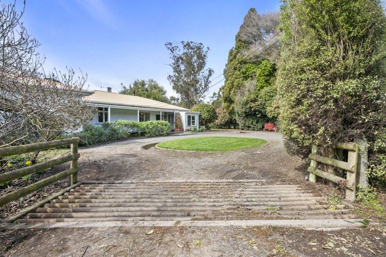 Photo of property in 352 Jeffersons Line, Marton, 4788