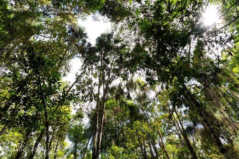 Photo of property in 356 Bull Road, Paparoa, Waiotira, 0193