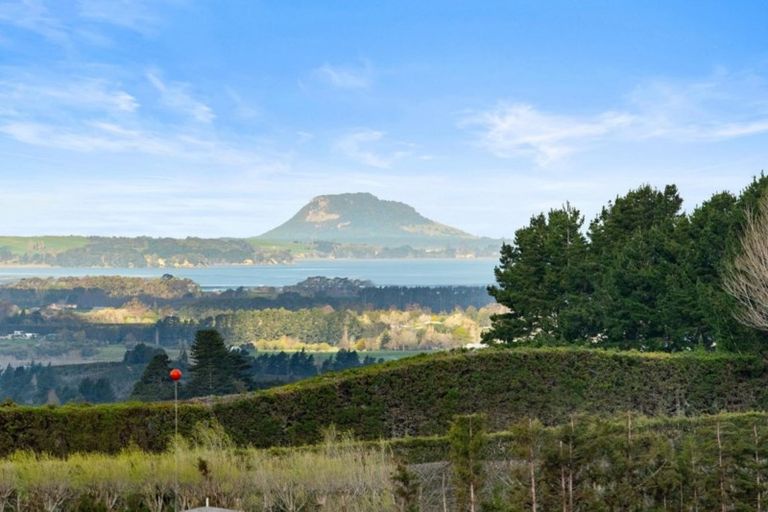 Photo of property in 348g Rea Road, Tahawai, Katikati, 3178