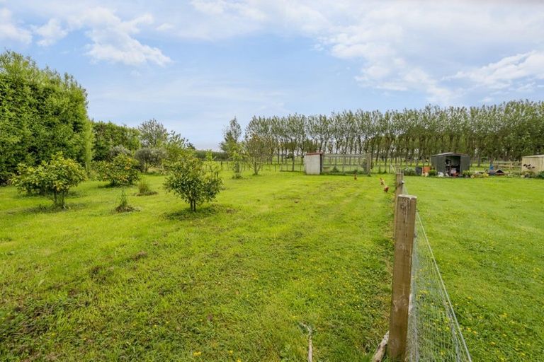 Photo of property in 71 Whelans Road, Levin, 5571