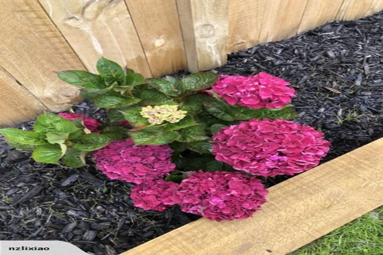 Photo of property in 87 Nobilo Road, Kumeu, 0810