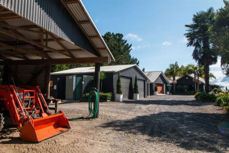 Photo of property in 56 Plummer Road, Whakamarama, Tauranga, 3179