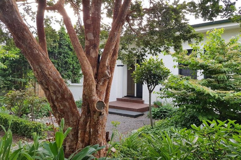 Photo of property in 105 Mcleod Street, Camberley, Hastings, 4120