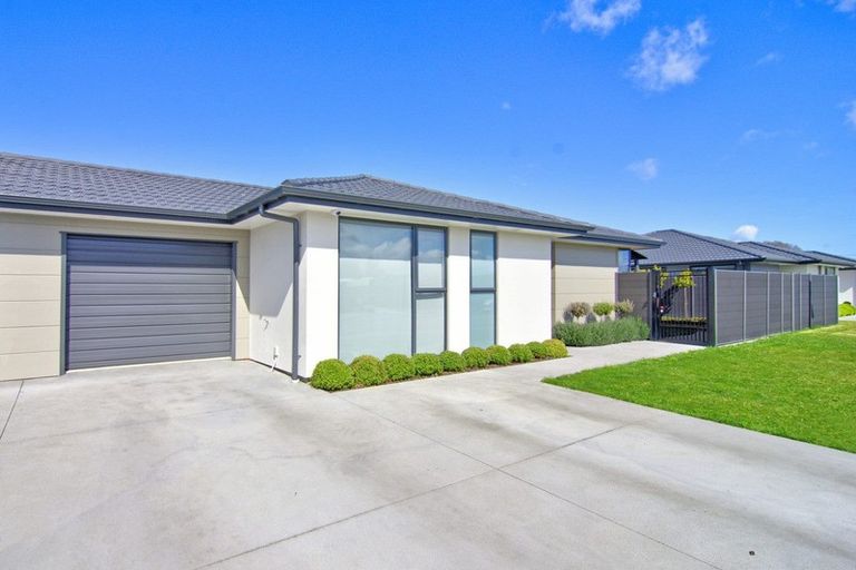 Photo of property in 16 Whatman Avenue, Masterton, 5810