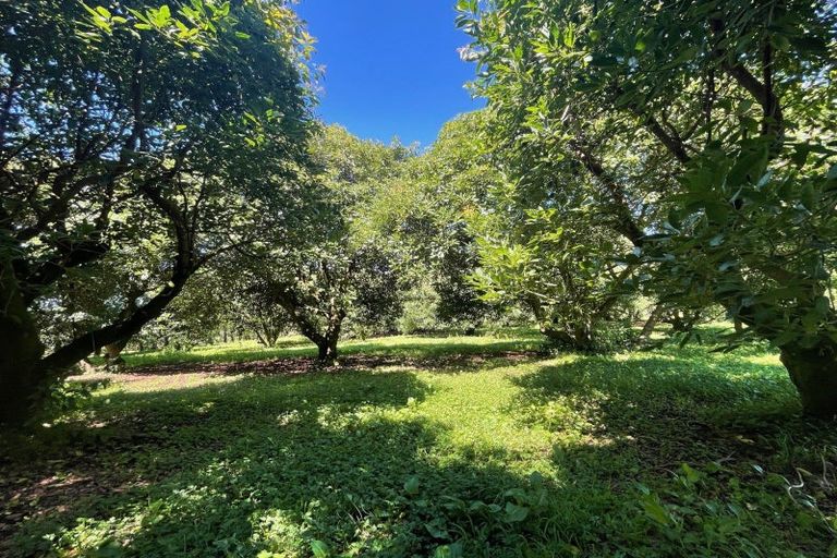 Photo of property in 717a No 3 Road, Te Puke, 3183