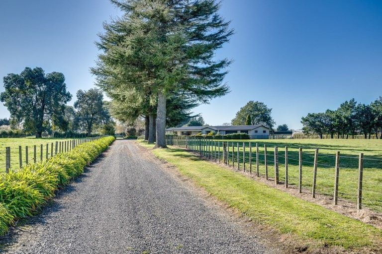 Photo of property in 172 Ngatarawa Road, Bridge Pa, Hastings, 4175