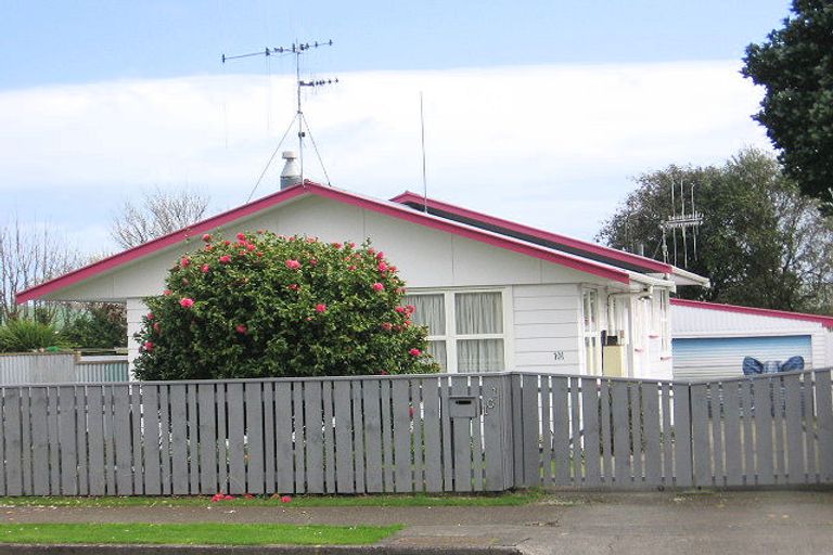 Photo of property in 101 Tiro Tiro Road, Levin, 5510