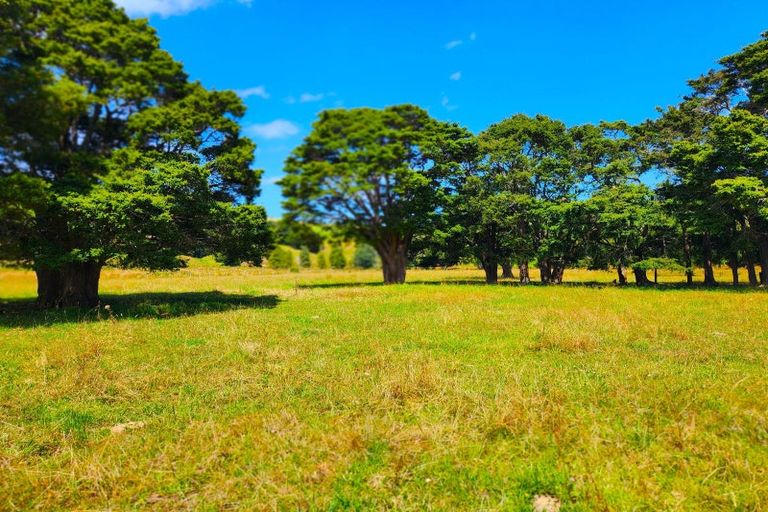 Property details for 137 Opouteke Road, Kaihu, Dargaville, 0379