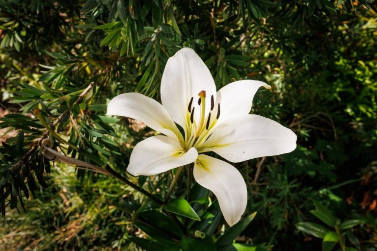 Photo of property in 1314 Pohangina Road, Pohangina, Ashhurst, 4884