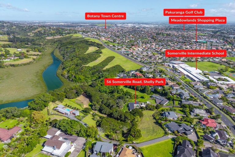 Photo of property in 56 Somerville Road, Shelly Park, Auckland, 2014