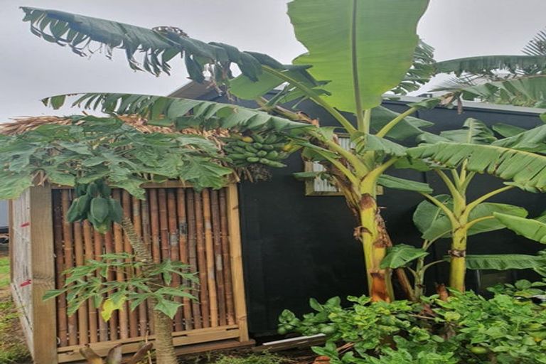 Photo of property in 4 Cordyline Way, One Tree Point, 0118