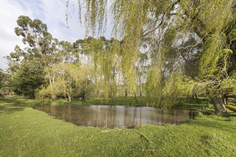 Photo of property in 259 Kahuterawa Road, Linton, Palmerston North, 4472