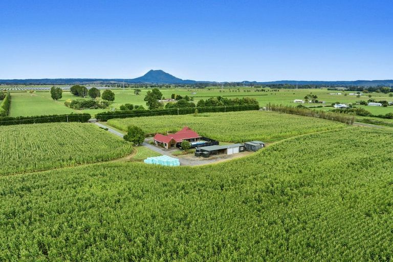 Photo of property in 164 Otakiri Road, Edgecumbe, Whakatane, 3192