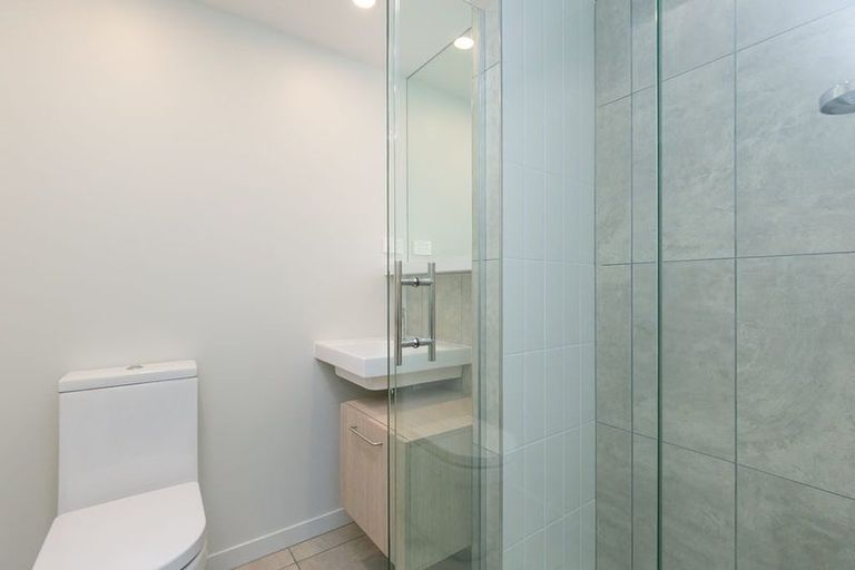 Photo of property in Vsp South, 502/166 Victoria Street, Te Aro, Wellington, 6011