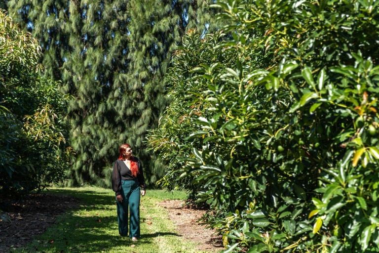 Photo of property in 1031b State Highway 2, Tanners Point, Katikati, 3177