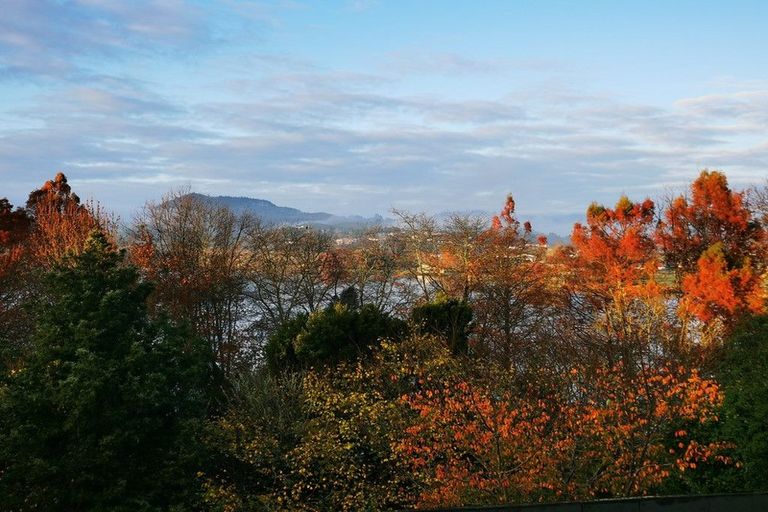 Photo of property in 50 Kimihia Road, Huntly, 3700