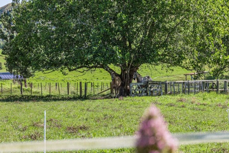 Photo of property in 42 Guy Road, Kaipara Flats, Warkworth, 0981