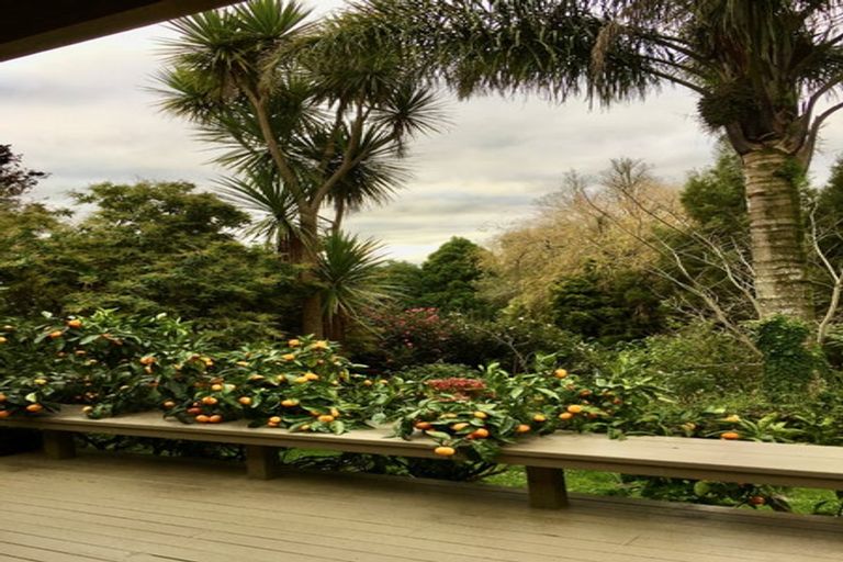 Photo of property in 1320 Highway 22, Pukekawa, Tuakau, 2696