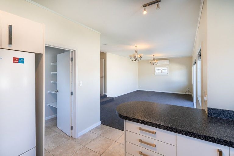 Photo of property in 105 Nixon Street, Hamilton East, Hamilton, 3216