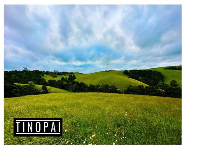 Photo of property in 1509 Tinopai Road, Tinopai, Matakohe, 0593
