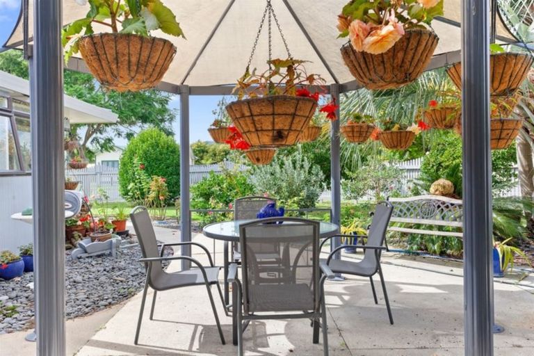 Photo of property in 6 Maple Place, Matamata, 3400