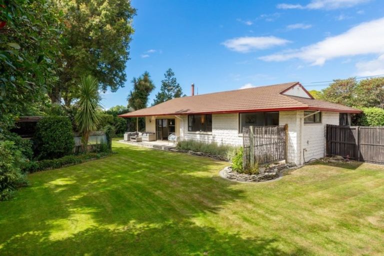 Photo of property in 67 Litchfield Street, Redwoodtown, Blenheim, 7201