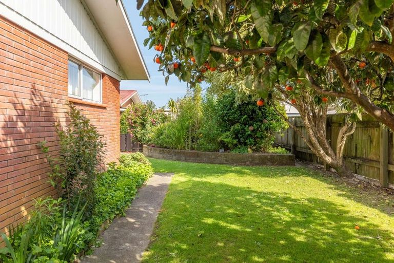Photo of property in 13a Peter Snell Street, Whakatane, 3120