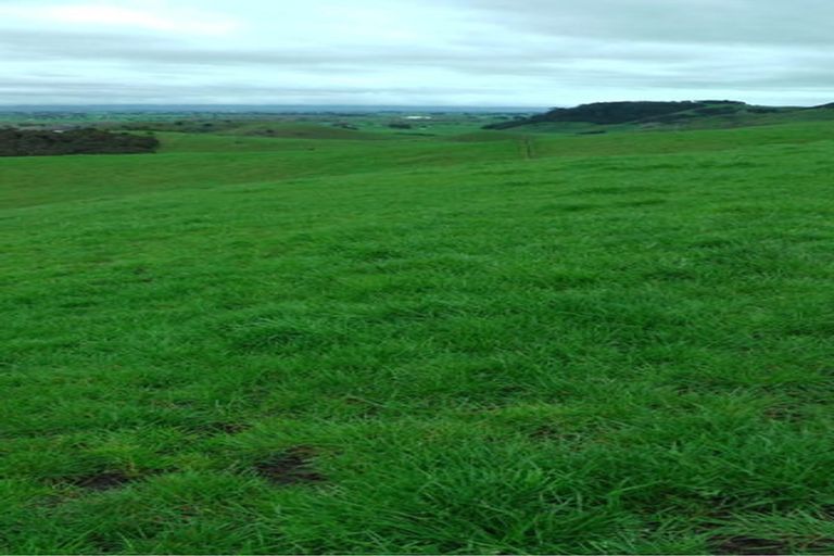 Photo of property in 103 Block Road, Hikutaia, Paeroa, 3674