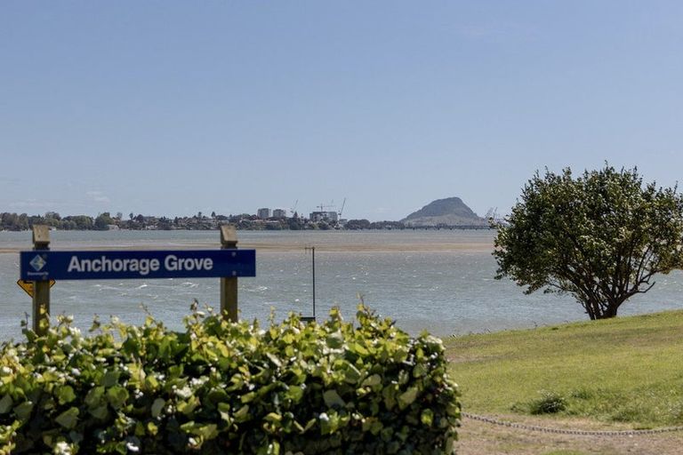 Photo of property in 8a Anchorage Grove, Maungatapu, Tauranga, 3112