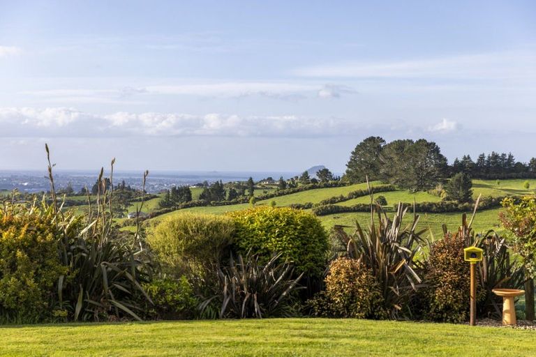 Photo of property in 11c Adrine Lane, Ohauiti, Tauranga, 3173