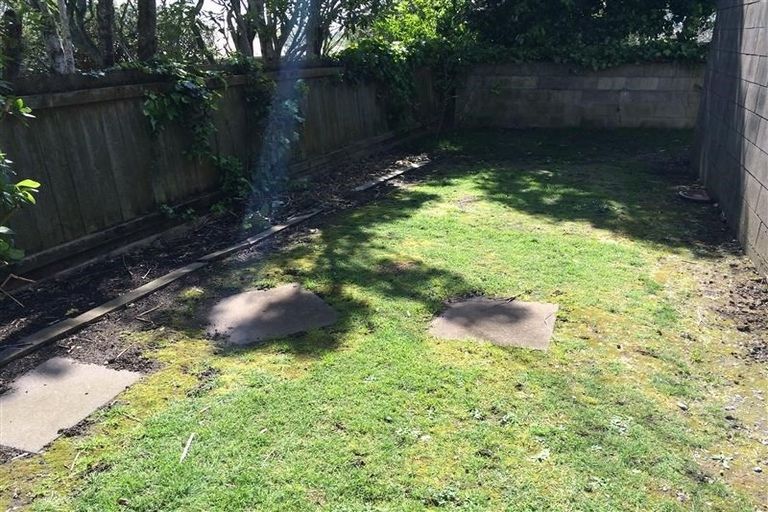 Photo of property in 14 Counsel Terrace, Mount Albert, Auckland, 1025