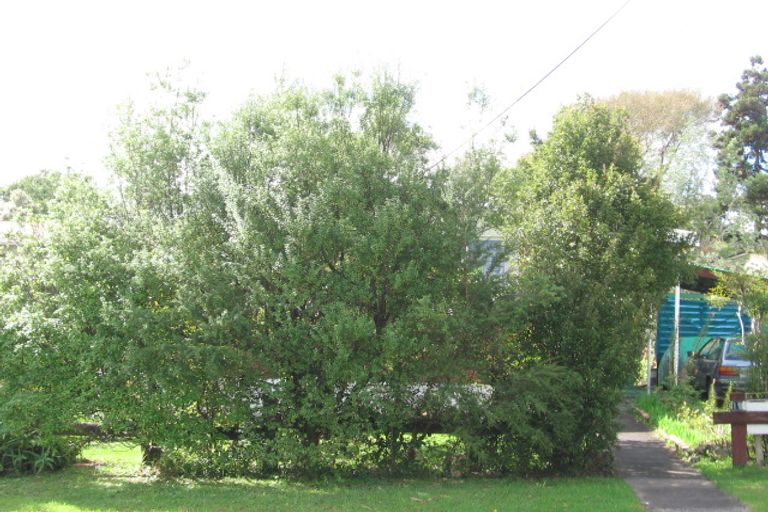 Photo of property in 19 Kereru Street, Henderson, Auckland, 0612