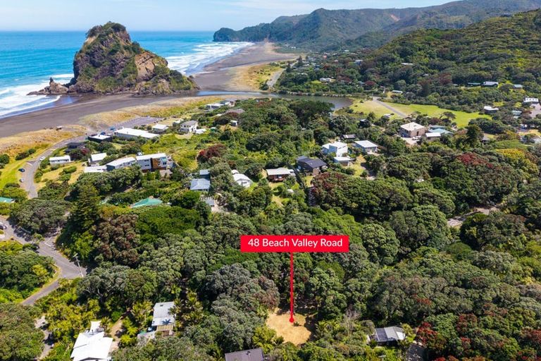 Photo of property in 48 Beach Valley Road, Piha, 0772