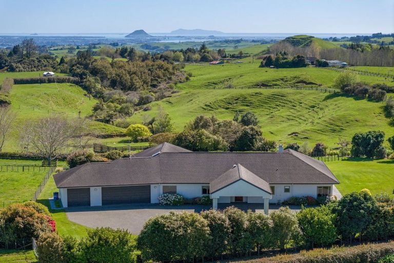 Photo of property in 1236e Oropi Road, Oropi, Tauranga, 3173