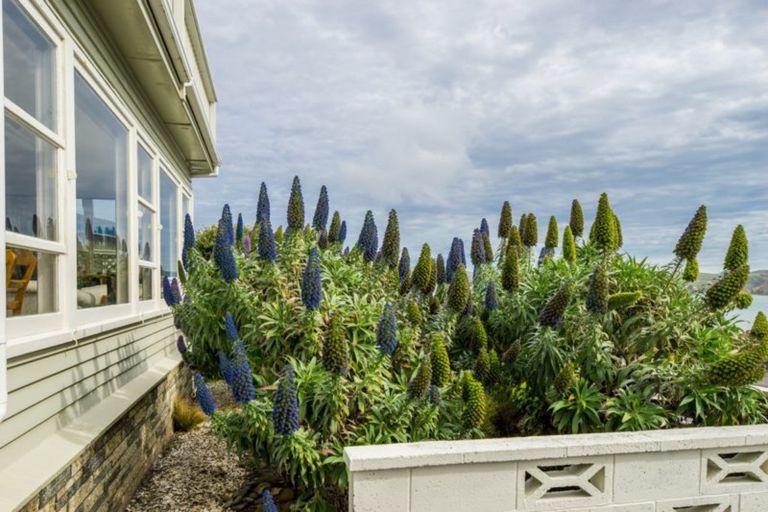 Photo of property in 31 Sunset Parade, Plimmerton, Porirua, 5026