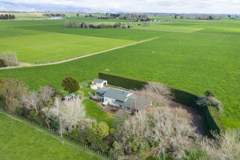 Photo of property in 1696 State Highway 56, Tiakitahuna, Palmerston North, 4477