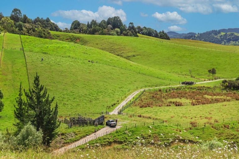 Photo of property in 76 Wyllie Road, Warkworth, 0981