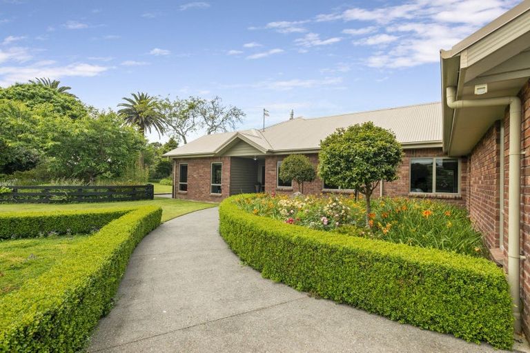 Photo of property in 165 Buckland Road, Matamata, 3472