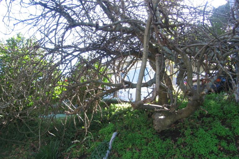 Photo of property in 3 Ingleton Terrace, Fairfield, Hamilton, 3214