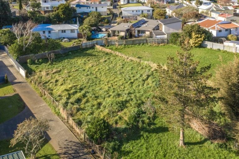 Photo of property in 20 Bignell Street, Gonville, Whanganui, 4501