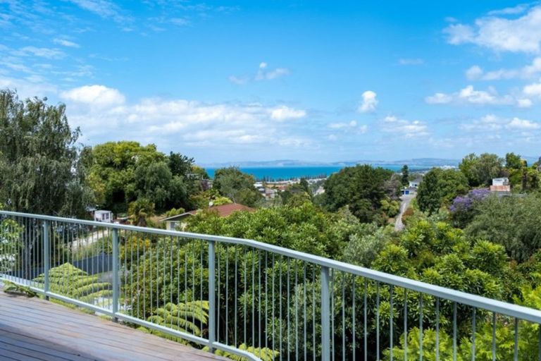 Photo of property in 8 Harvey Road, Bluff Hill, Napier, 4110