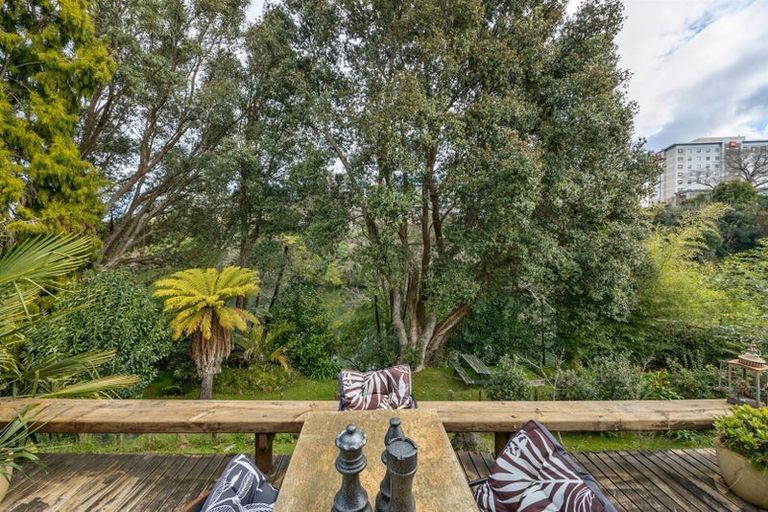 Photo of property in 31 Opoia Road, Hamilton East, Hamilton, 3216