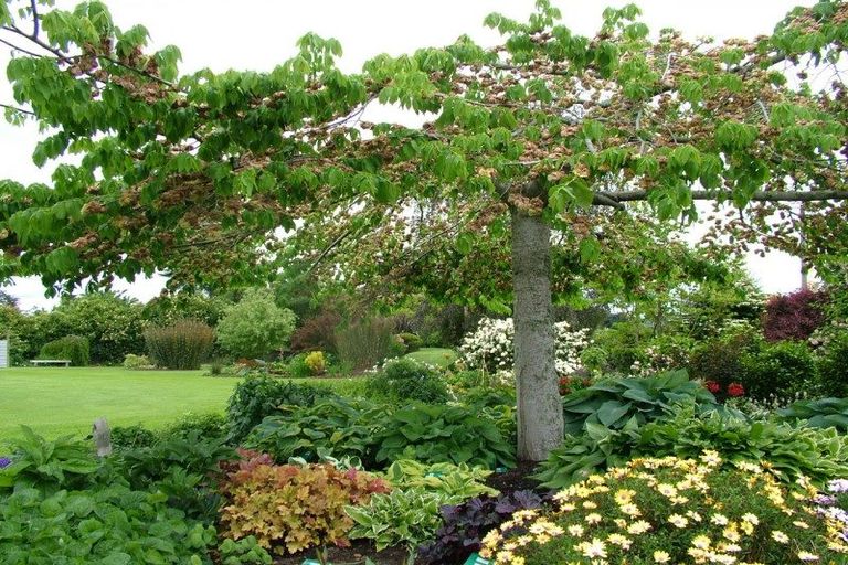 Photo of property in 4726 State Highway 1, Hunterville, 4785