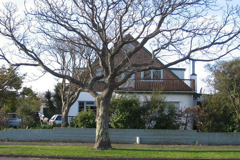 Photo of property in 375 Ruahine Street, Terrace End, Palmerston North, 4410